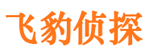 大关市侦探调查公司